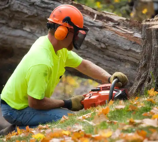 tree services Rocky Fork Point